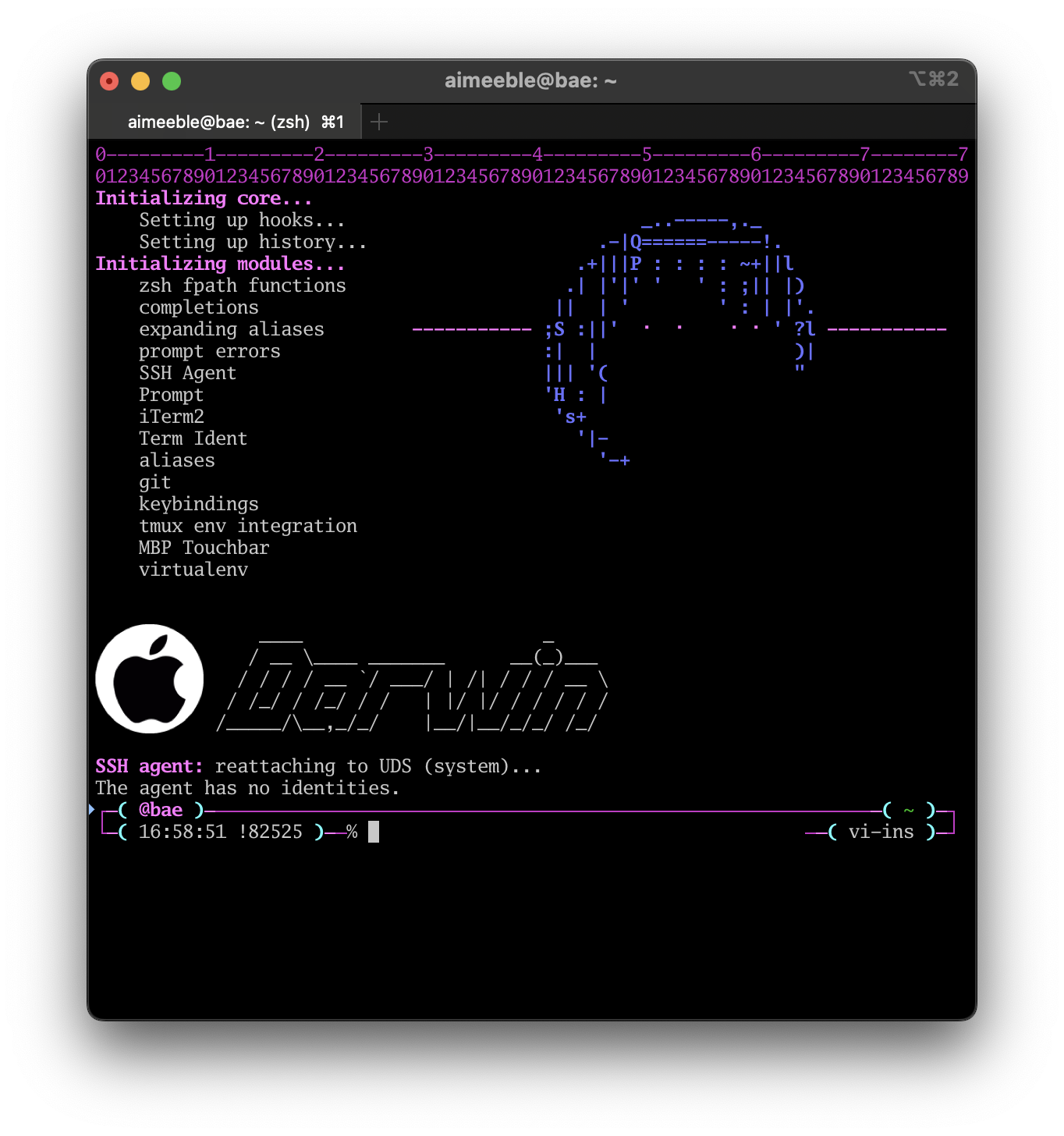 iTerm2 loading zsh with custom configs on Darwin